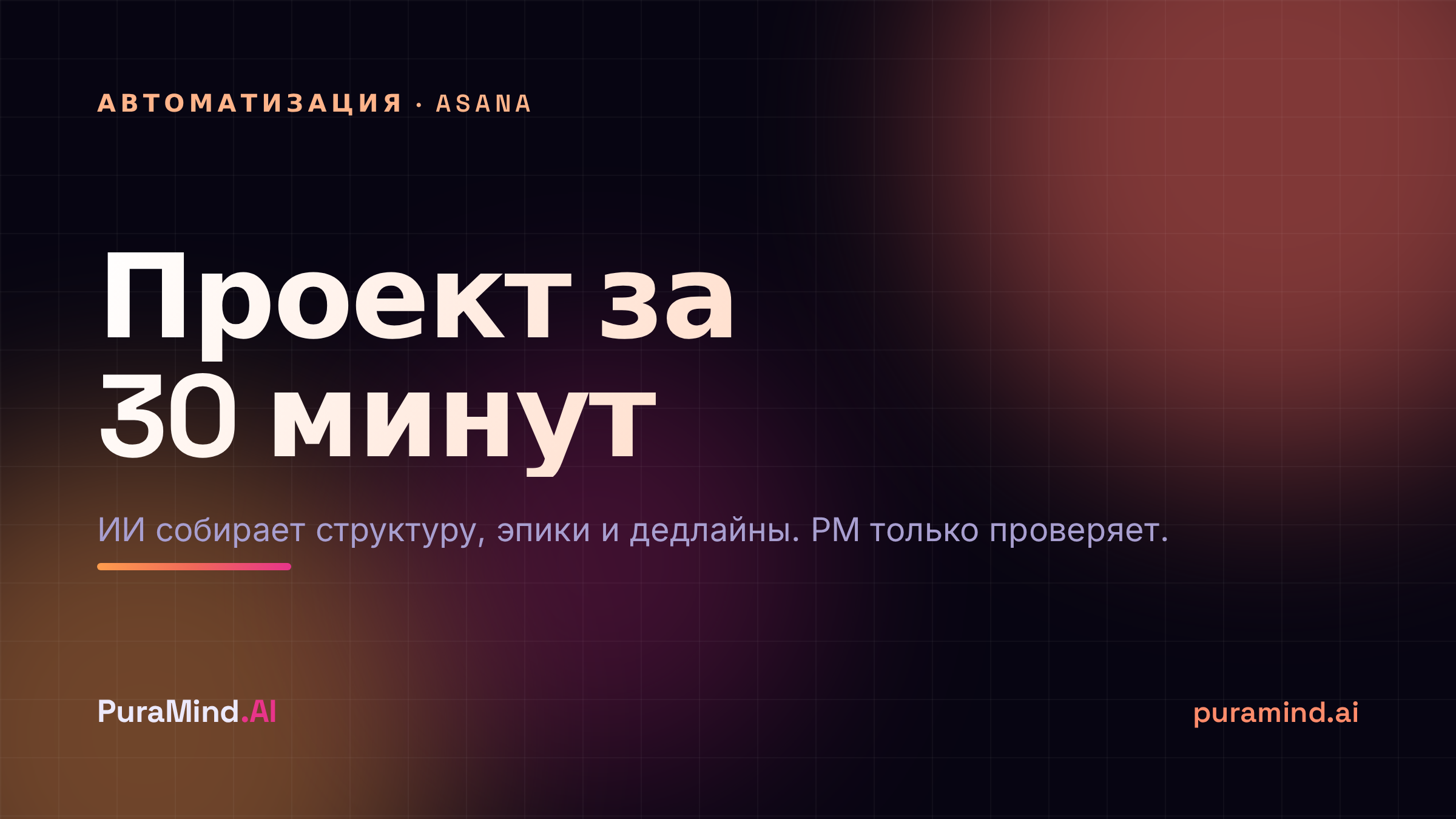 Asana Project Manager: проект за 30 минут вместо пяти часов