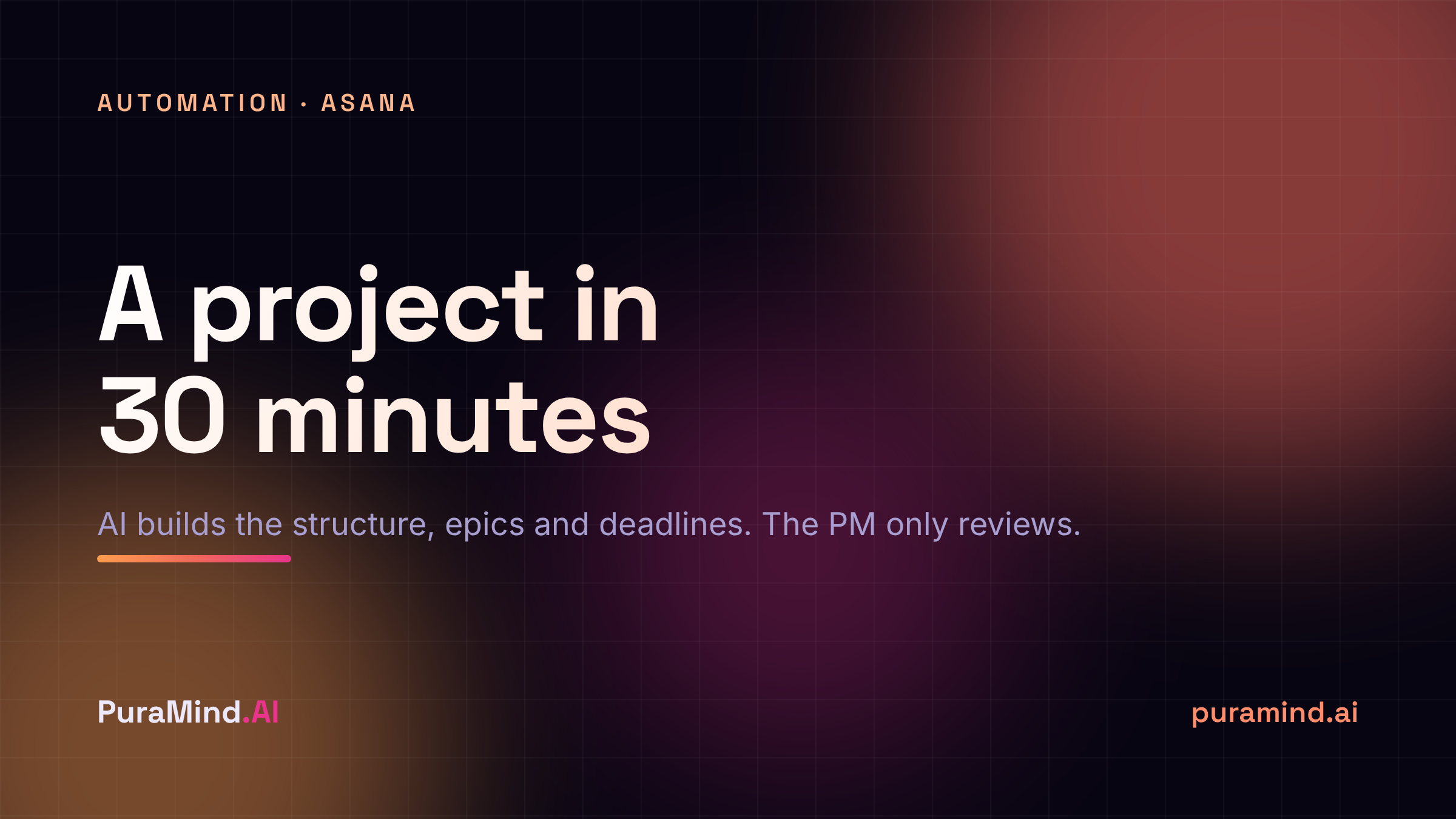 Asana Project Manager: a project in 30 minutes instead of five hours