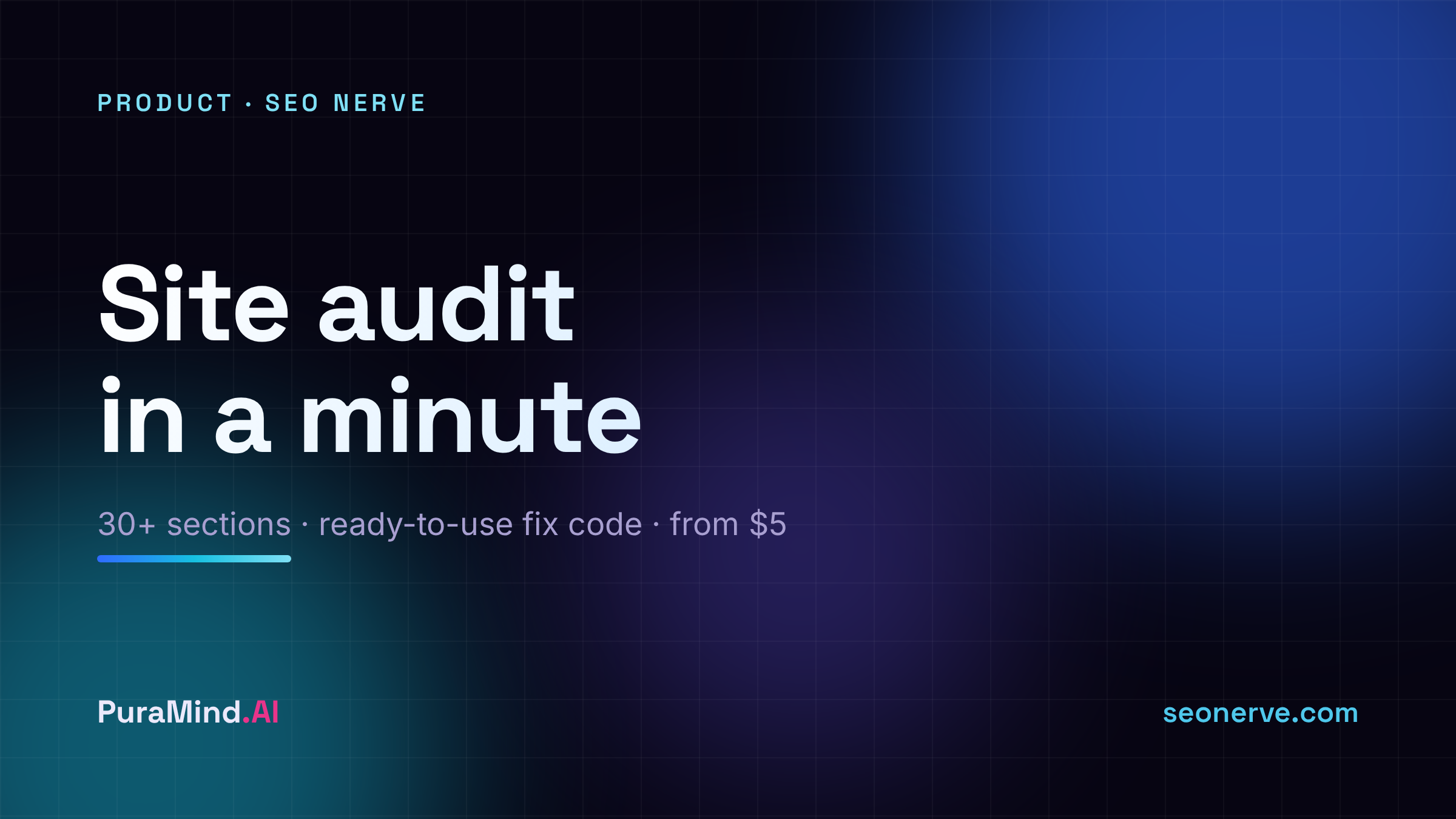 SEO Nerve: full site audit in a minute - free score, report from $5